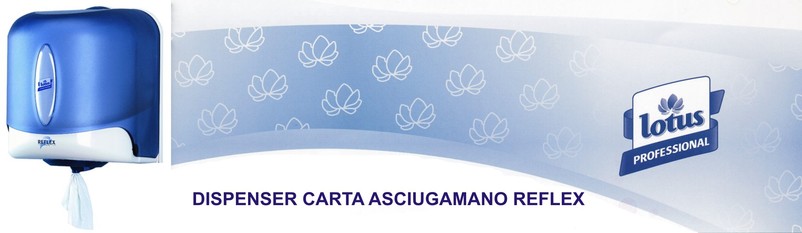 Dispenser carta asciugamani, LindoShop